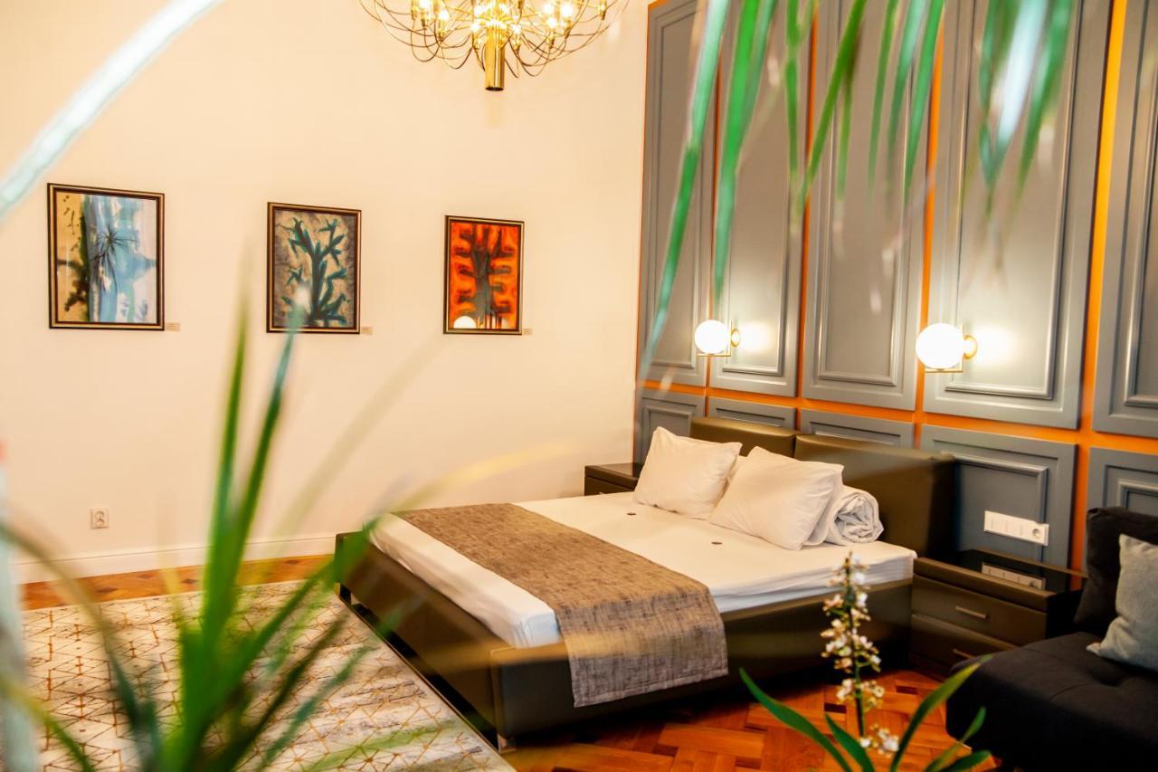 Matei Corvin Apartment كلوج-نابوكا المظهر الخارجي الصورة